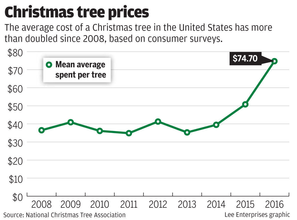 Christmas tree prices